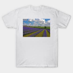 Lavender Field Purple Flowers Cotswolds England T-Shirt